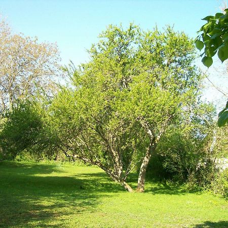Chez Scallan B&B Sens sur Seille Eksteriør billede